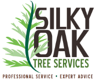 Arborist Mount Waverley – Silky Oak Tree Services